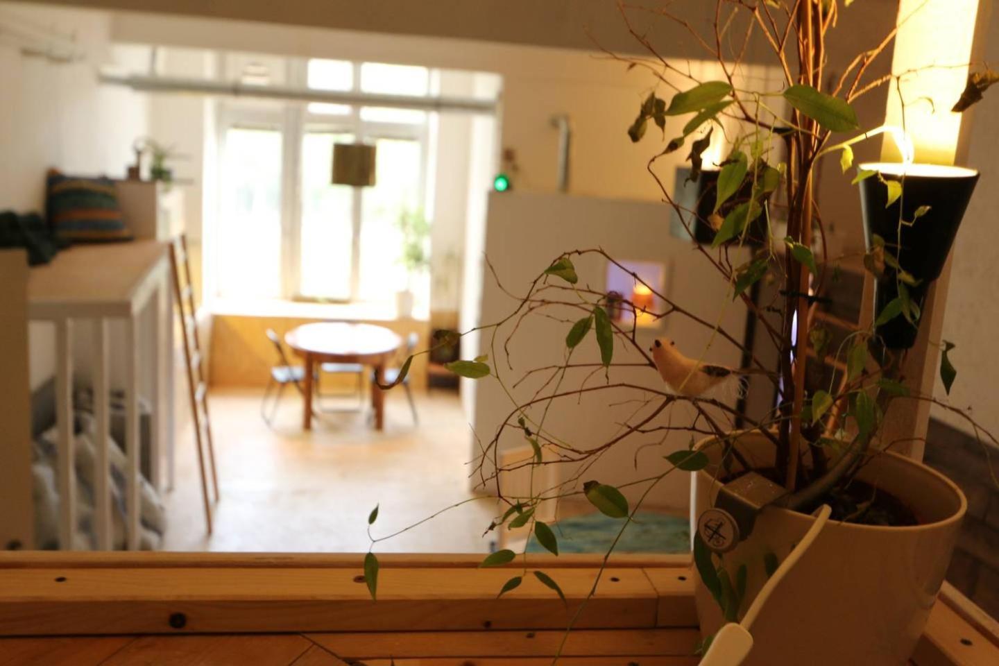 柏林Einzigartiges 140Qm Loft - Party Ist Erlaubt!公寓 外观 照片